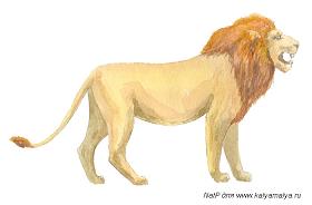 Учимся рисовать льва на "Каля Маля"